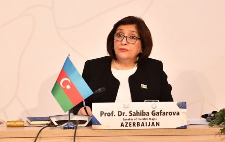 Sahibə Qafarova: Prezident İlham Əliyevin irəli sürdüyü qlobal təşəbbüslər beynəlxalq aləmdə rəğbət və dəstək qazanıb