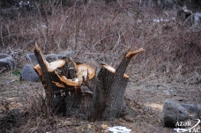 Laçın rayonunun işğaldan azad olunmasından bir il ötür