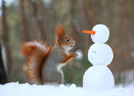 Sabaha Bakıda qar yağacaq Sabaha Bakıda qar yağacaq