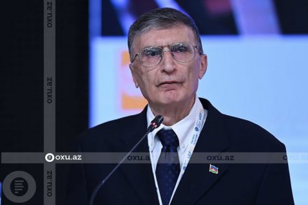 Əziz Sancar: “Qarabağ hər birimizin ürəyində, düşüncəsindədir” - FOTO