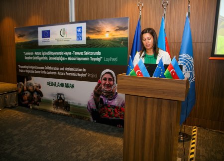 5 milyonluq layihənin icrasına başlanılır - Səfir detalları açıqladı