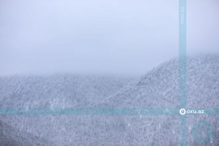 Şimal zonasına yağan qarın hündürlüyü 30 santimetrə çatıb - FAKTİKİ HAVA