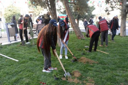 Nəsimi rayonunda daha bir abad həyət sakinlərin istifadəsinə verilib -FOTOLAR