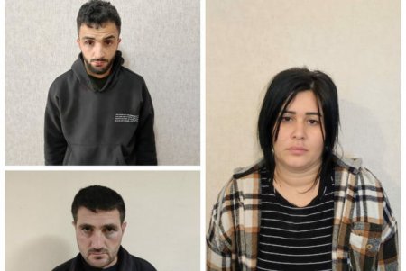 Aralarında qadının da olduğu cinayətkar qrup üç rayonda mal-qara oğurlayıb
