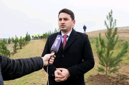 Cənab Prezidentin 60 illik yubileyi münasibətilə "Kristal Abşeron" tərəfindən ağacəkmə aksiyası həyata keçirilib