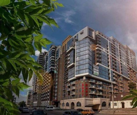 Kirayədə qalan deputat Anar Məmmədovun Ukraynadakı biznesi - Foto