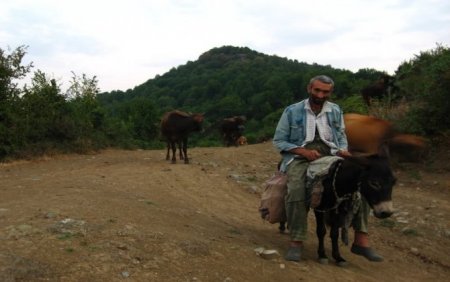 “Bu gün Qarabağda dəlilər yaşayır…” – Lusine Qaraxanyan