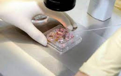 Dövlət Komissiyası: 3079 itkin ailəsindən 99 544 bioloji nümunə toplanıb