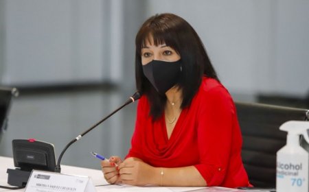 Председатель правительства Перу заразилась коронавирусом