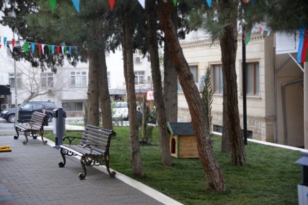 Nəsimi rayonunda növbəti abad həyət sakinlərin istifadəsinə verilib -FOTOLAR