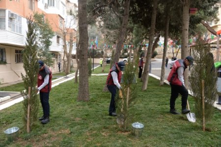 Nəsimi rayonunda növbəti abad həyət sakinlərin istifadəsinə verilib -FOTOLAR