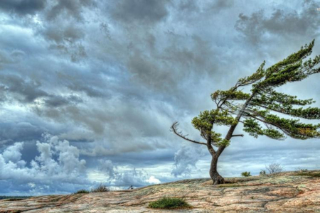 Martın 30-dək hava küləkli olacaq - XƏBƏRDARLIQ