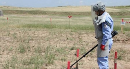 Azad olunan ərazilərdə daha 165 mina aşkarlanıb