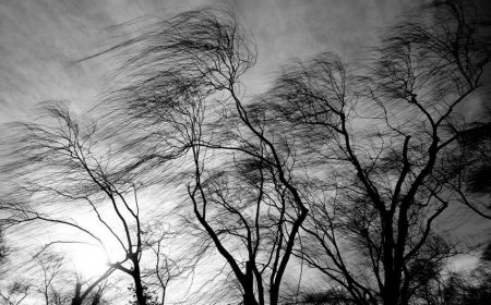 Ölkə ərazisinin bəzi yerlərində şimal-qərb küləyi güclənib - FAKTİKİ HAVA