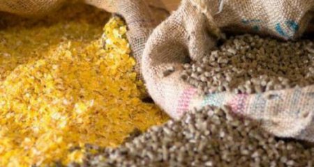 Azərbaycana gətirilən heyvan yemləri gömrük rüsumundan azad olunub