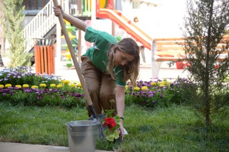 Nəsimi rayonunda daha bir “Abad həyət” layihəsi çərçivəsində abadlaşdırılan növbəti həyətin açılışı oldu -FOTOLAR