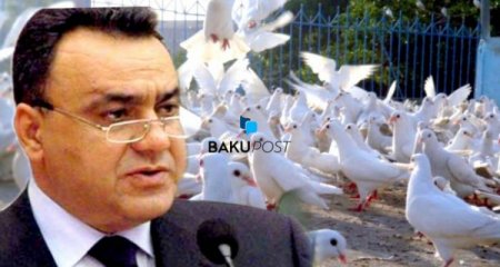 Heydər Babayevin məktub gəzdirən minlərlə quşları - Video