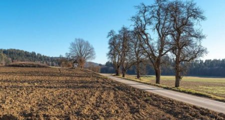 Azərbaycanda torpaq mülkiyyəti necə bölünüb? – Fantastik qeyri-bərabərliyin statistik mənzərəsi