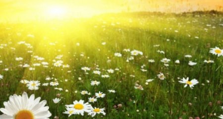 Sabah 35 dərəcə isti olacaq