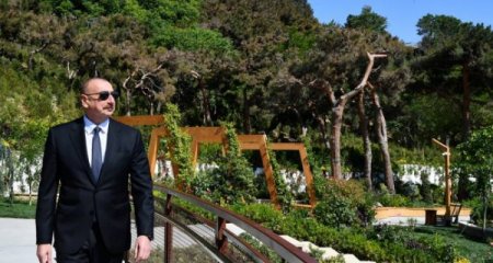 Azərbaycan çempionu vəfat edib