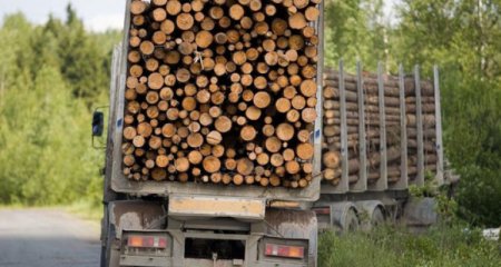 Rusiyadan Azərbaycana 200 kubmetr taxta idxalının qarşısı alınıb