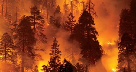 ABŞ-da güclü meşə yanğınları başlayıb