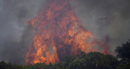 Avropanın üç ölkəsini güclü meşə yanğınları bürüyüb