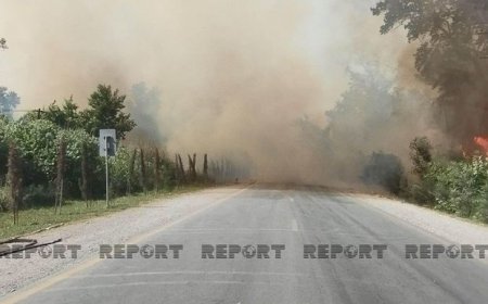 FHN: “Külək Xaçmazda yanğın ocaqlarının tam söndürülməsinə mane olur” - VİDEO