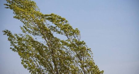 Sabahdan Bakıda və rayonlarda hava şəraiti dəyişəcək - Xəbərdarlıq