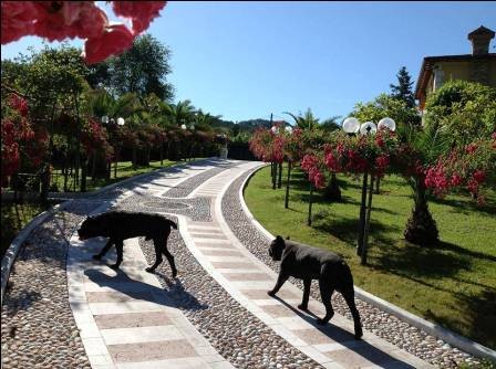 Azərbaycanlı milyonçu İtaliyadakı villasını SATIŞA ÇIXARIB - FOTOLAR