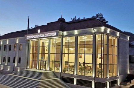 Gədəbəy icra hakimiyyəti binasında İNSİDENT - Qadın həbs edildi