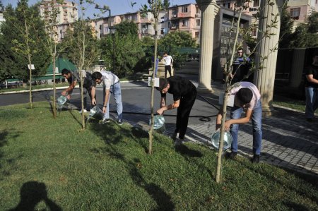 Nəsimi rayonunda Vətən müharibəsində şəhid olanların əziz xatirəsinə həsr olunmuş Vətən müharibəsi əlilləri və veteranlarının iştirakı ilə stolüstü yarışlar keçirilib -FOTOLAR