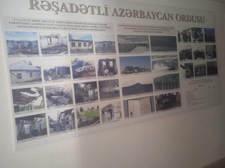 Əməkdar müəllim Pərviz Yəhyalı Təhsil Nazirliyini üç milyon beş minlik yeyintidə İTTİHAM ETDİ - Tükürpərdici cinayətin izi ilə və ya villiams sindromlu komandanın incə siyasəti