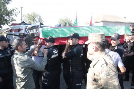 Milli Mclisin sədr müavini Fəzail İbrahimli Cəlilabadda şəhid mərasimlərində iştirak edib 