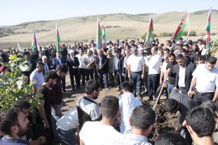 Milli Mclisin sədr müavini Fəzail İbrahimli Cəlilabadda şəhid mərasimlərində iştirak edib 