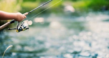 Dövlət qurumunun qayığını yandıran şəxs saxlanıldı - Yenilənib