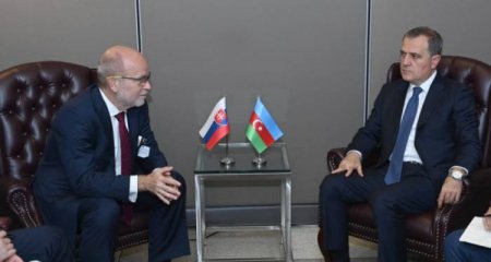 Ceyhun Bayramov Slovakiyanın xarici işlər naziri ilə görüşüb