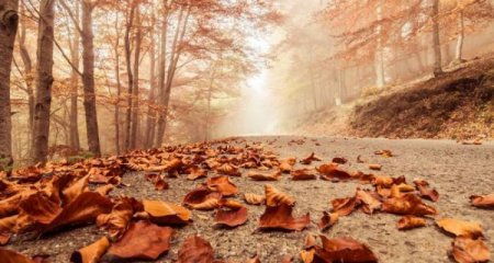 Azərbaycanda payız fəsli başlayıb