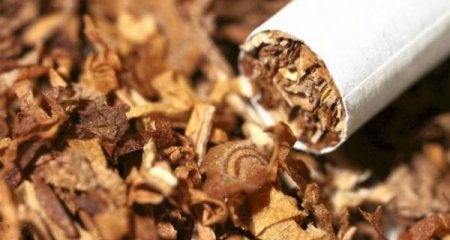 Tütün məmulatları məcburi nişanlamaya görə dövlət rüsumundan azad olunur