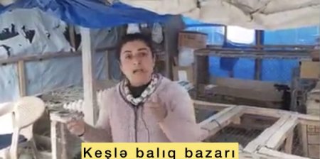 “Keşlə balıq bazarı”nda özbaşınalıq edən Emin kimdir? – Ayda 900 manat istəyir