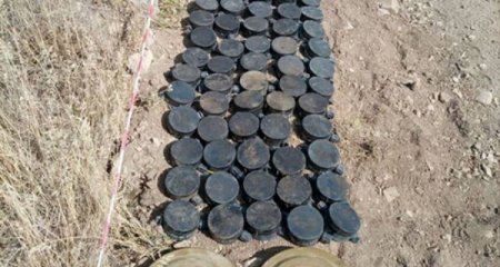 Kəlbəcər və Daşkəsəndə aşkar olunan növbəti minalar zərərsizləşdirildi - Video