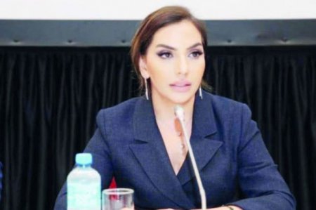 Prezidentin yüksək vəzifə verdiyi xanım kimdir? - DOSYE