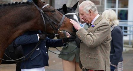 Kraliça Elizabetin atlarını satan III Çarlz milyon funt-sterlinqdən çox pul qazanıb