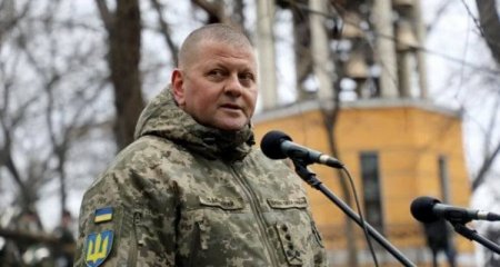 Zalujnı ABŞ-dan aldlğı 1 milyon mirası Ukrayna ordusuna sərf edib