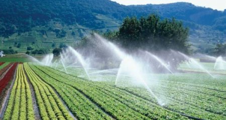 Azərbaycanda suvarma infrastrukturu yenilənəcək