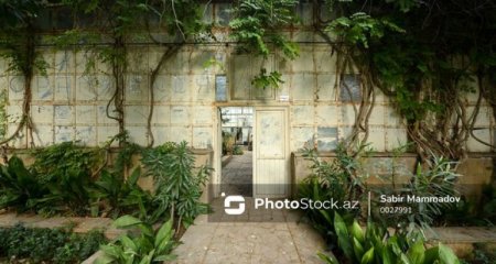 Azərbaycanda daha bir institut əməkdaşlarından etiraz: “Tədqiqat bazaları tamamilə dağıdılıb”