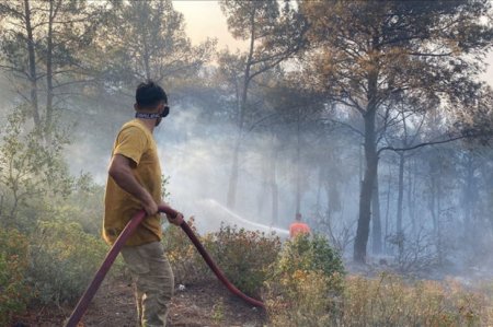 Türkiyədə meşə yanğınlarını törətməkdə şübhəli bilinən şəxslər saxlanılıblar