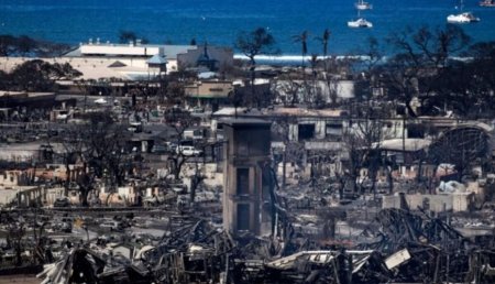 Havayda isti hava yanğını: 89 ölü, yüzlərlə itkin, tarixi şəhər kül olub