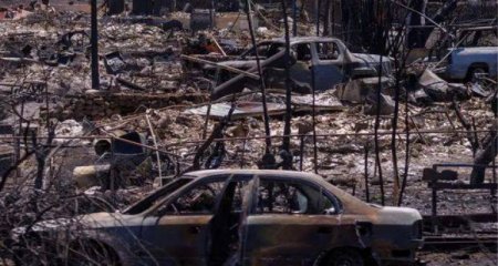 Havayda meşə yanğınlarında ölənlərin sayı artdı