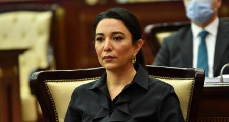 Ombudsman erməniəsilli şəxslərin Azərbaycan səfirliyinə hücumunu pisləyib